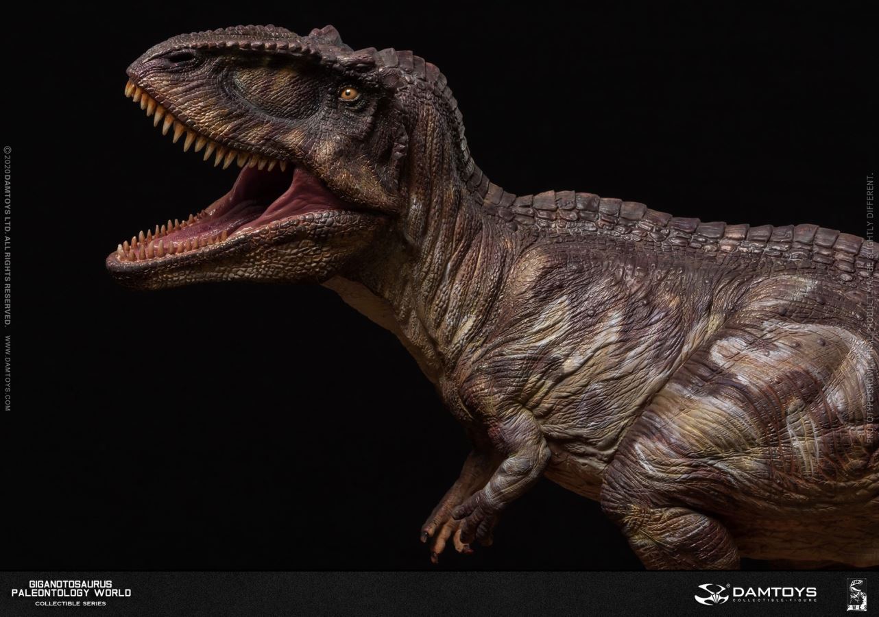 Museum Collection Series - Giganotosaurus