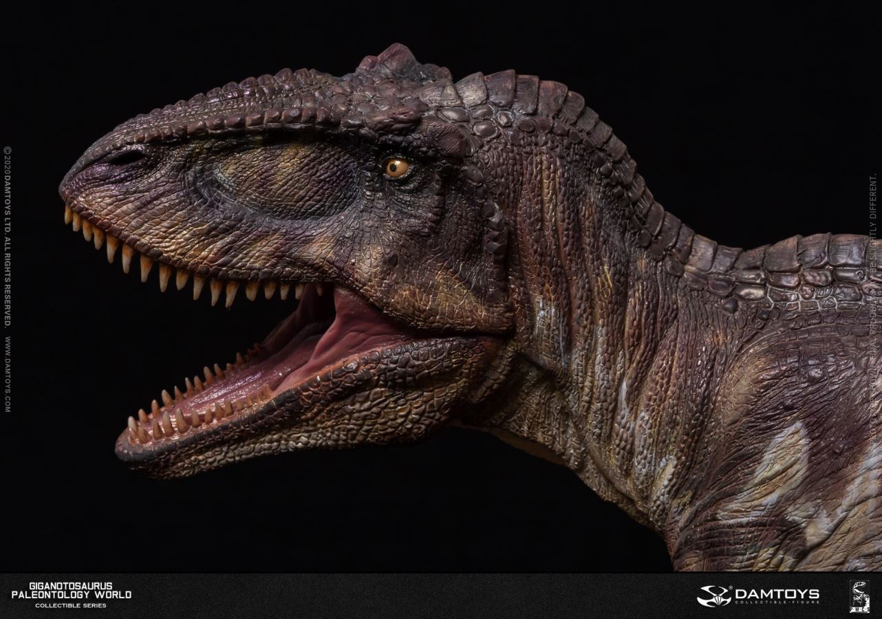 Museum Collection Series - Giganotosaurus