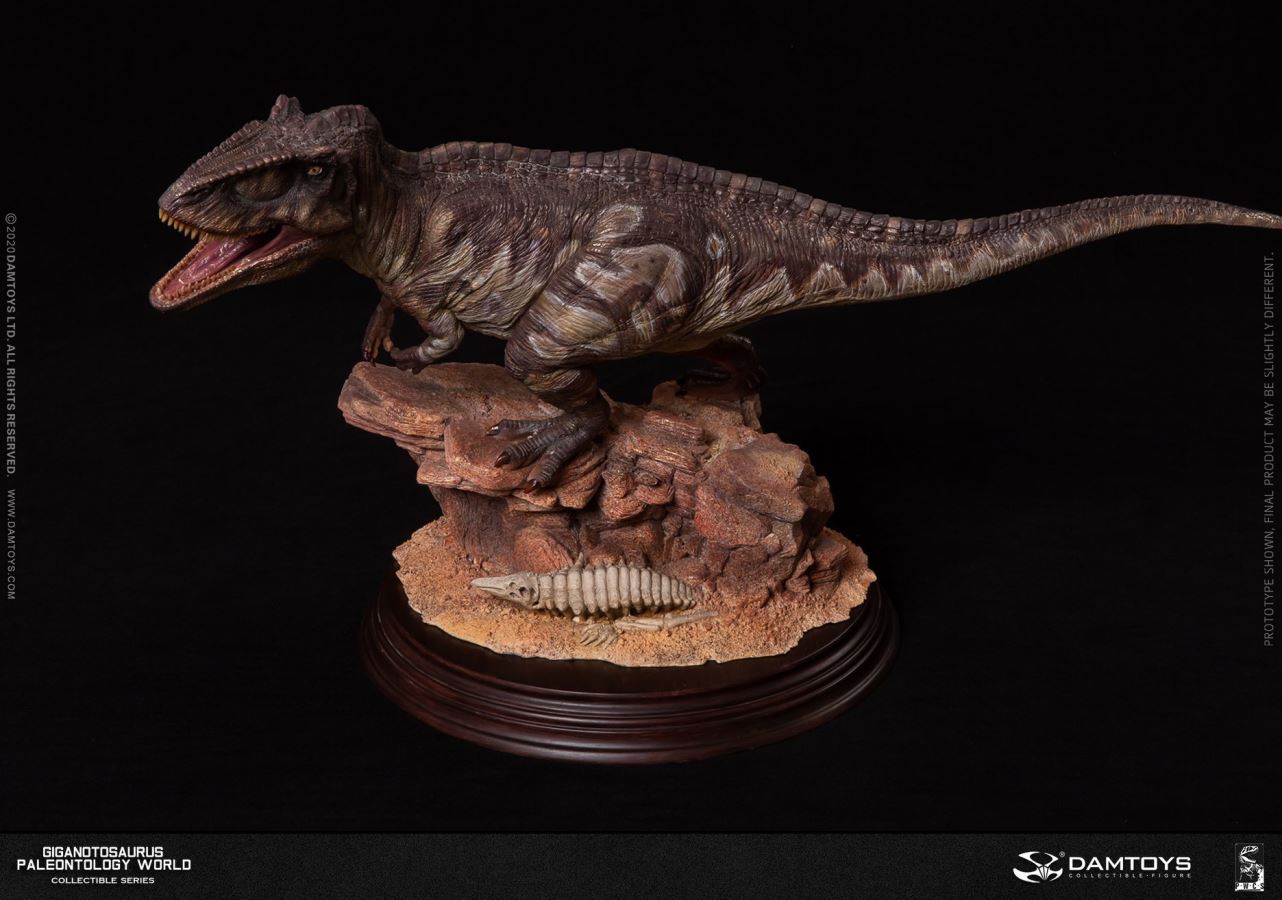 Museum Collection Series - Giganotosaurus