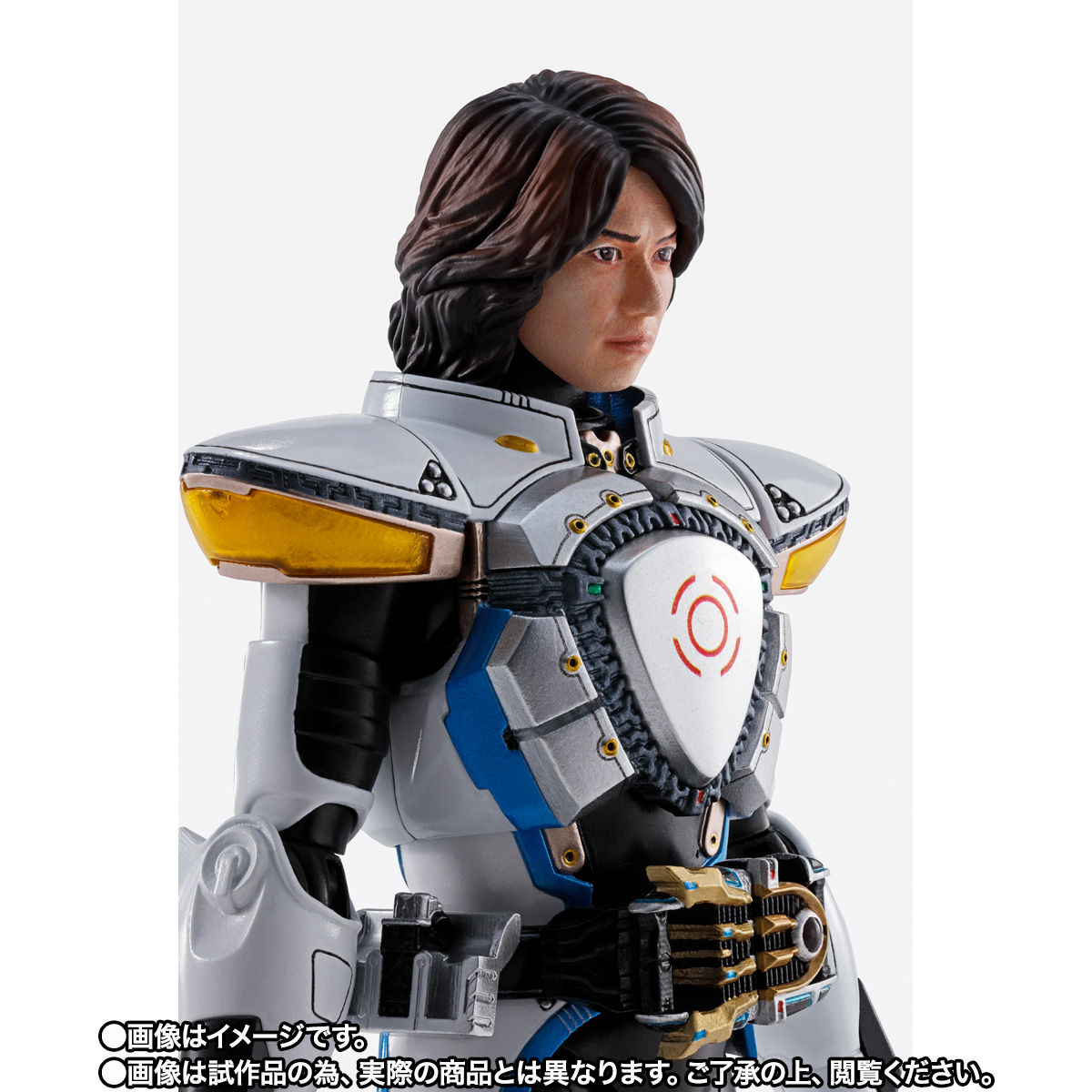 S.H.Figuarts Shincocchou Seihou Kamen Rider IXA