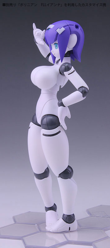 Polynian FMM Clover Update Ver.