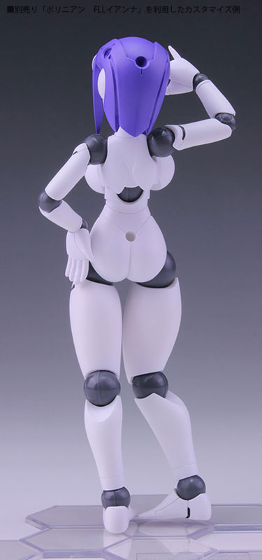 Polynian FMM Clover Update Ver.