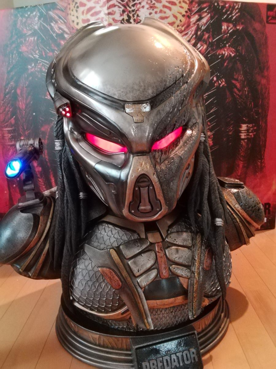 Predator Bust