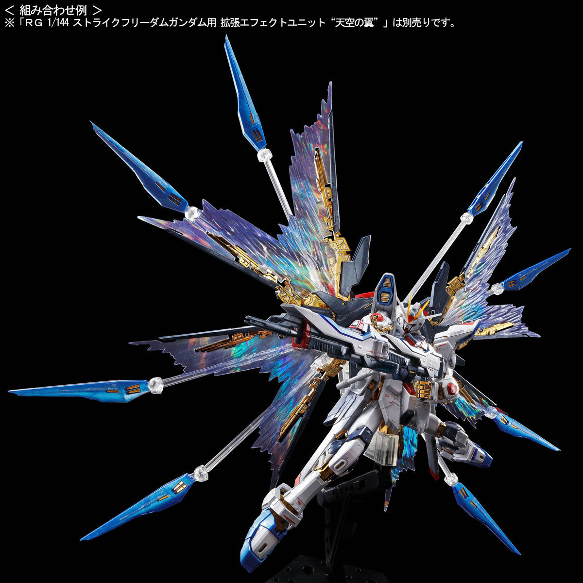 Mobile Suit Gundam SEED Destiny -RG 1/144 Strike Freedom Gundam [Titanium Finish]