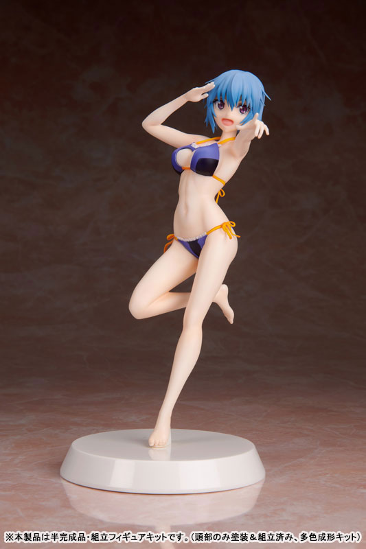 Assemble Heroines Frame Arms Girl Hresvelgr [Summer Queens]