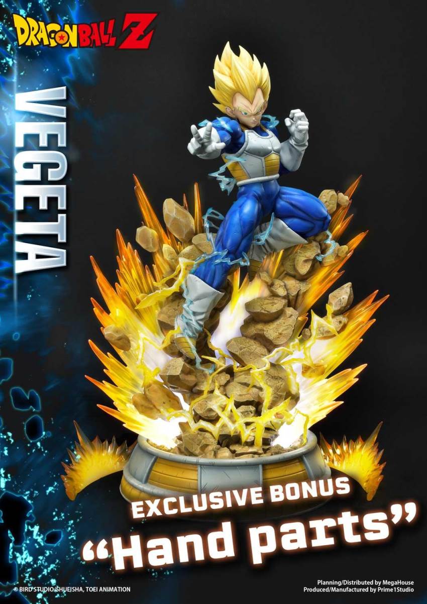 Dragon Ball Z Super Saiyan Vegeta