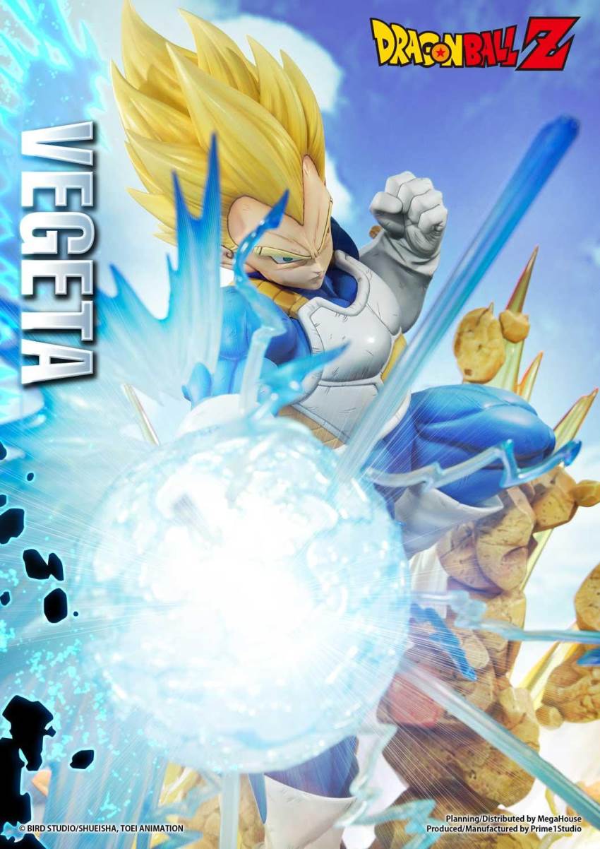 Dragon Ball Z Super Saiyan Vegeta