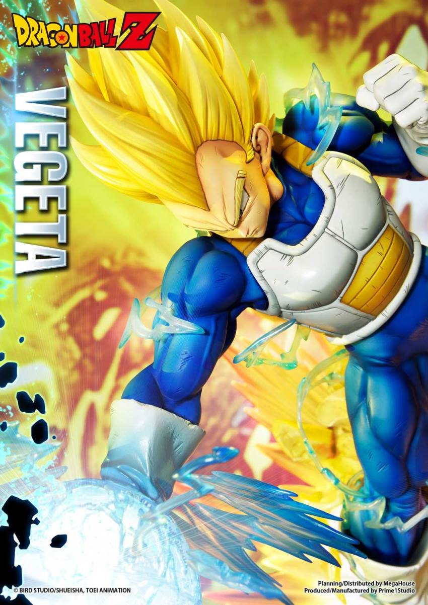 Dragon Ball Z Super Saiyan Vegeta