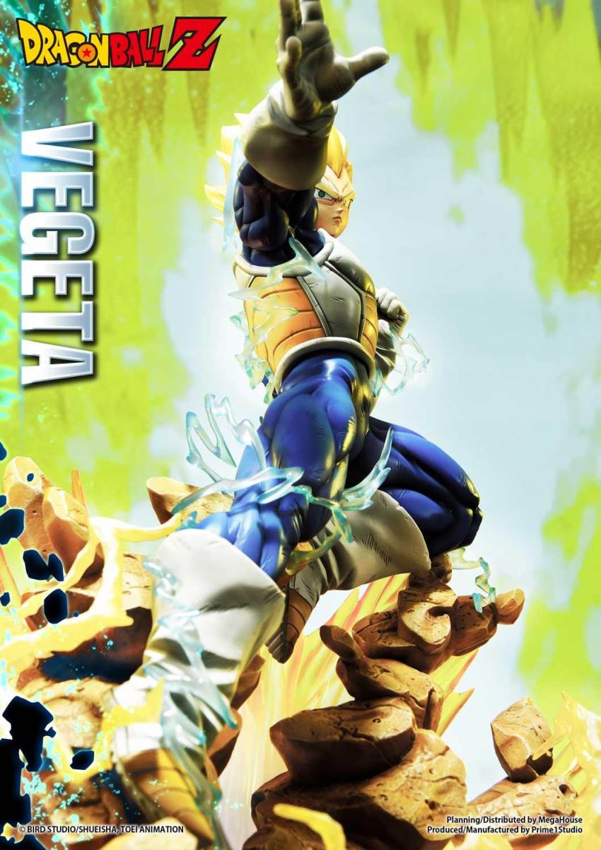 Dragon Ball Z Super Saiyan Vegeta