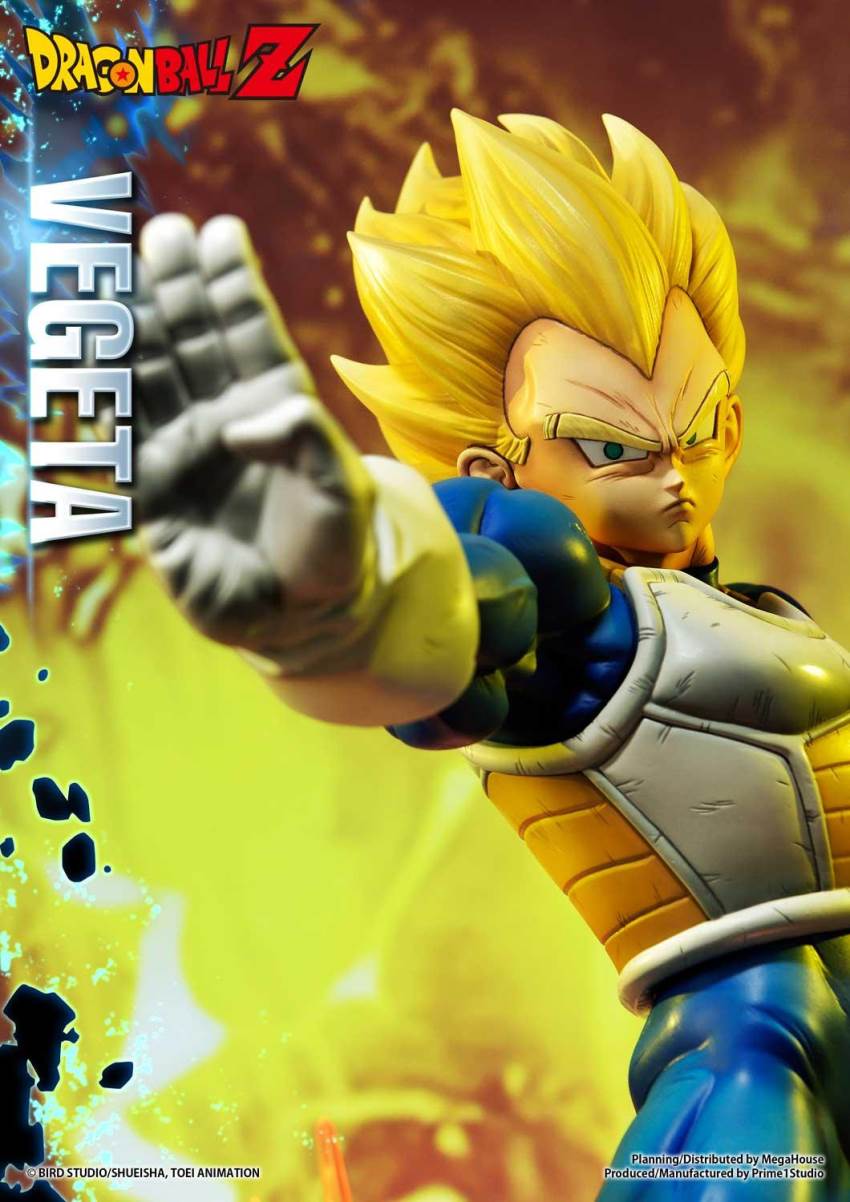 Dragon Ball Z Super Saiyan Vegeta