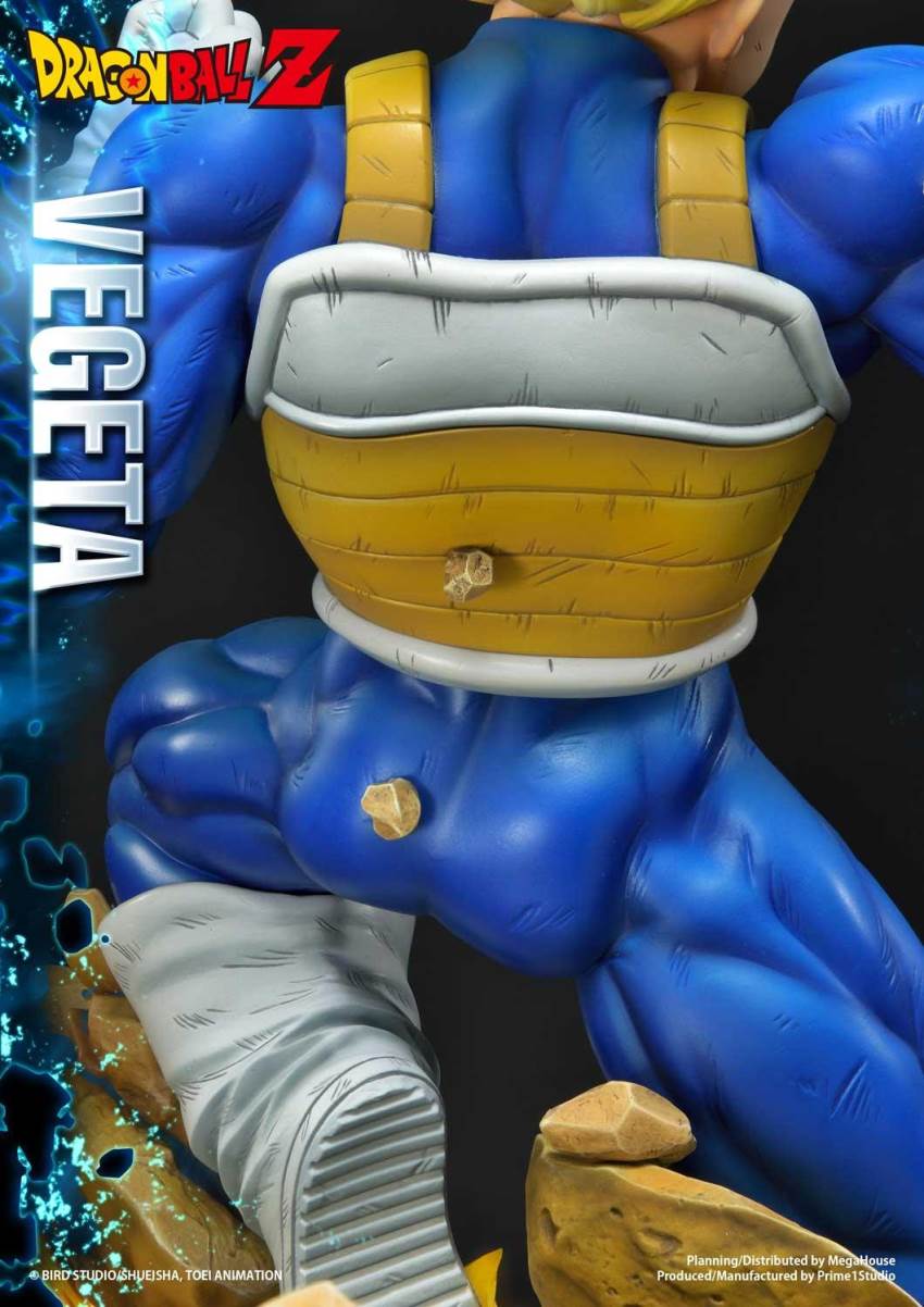 Dragon Ball Z Super Saiyan Vegeta