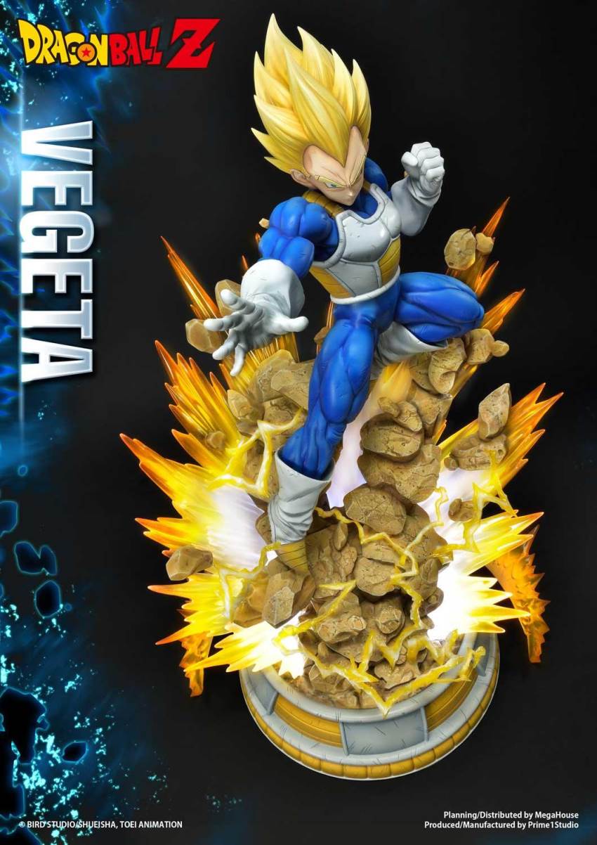 Dragon Ball Z Super Saiyan Vegeta