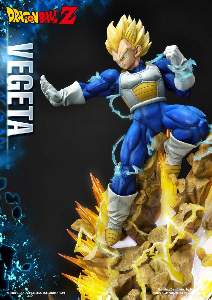 Dragon Ball Z Super Saiyan Vegeta