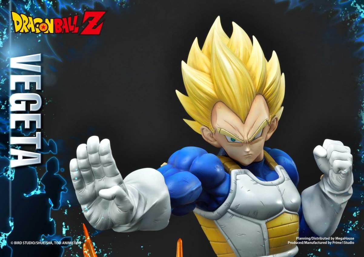 Dragon Ball Z Super Saiyan Vegeta