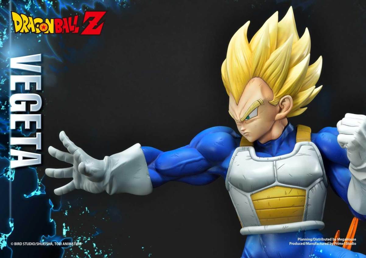Dragon Ball Z Super Saiyan Vegeta