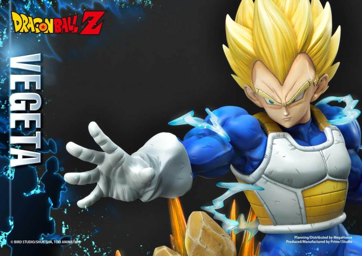 Dragon Ball Z Super Saiyan Vegeta