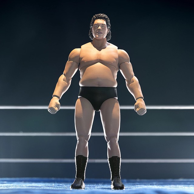 Andre the Giant ULTIMATES! Figure