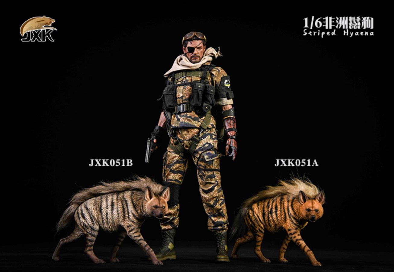 1/6 African Hyena