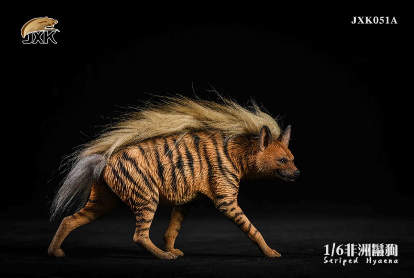 1/6 African Hyena