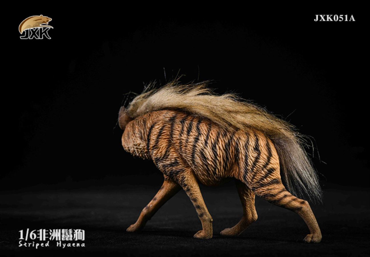 1/6 African Hyena