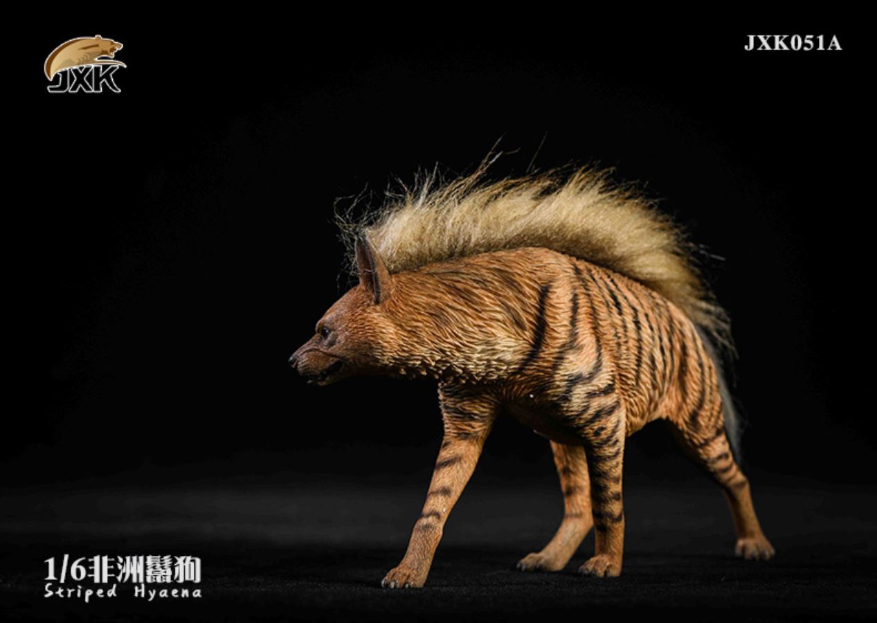 1/6 African Hyena