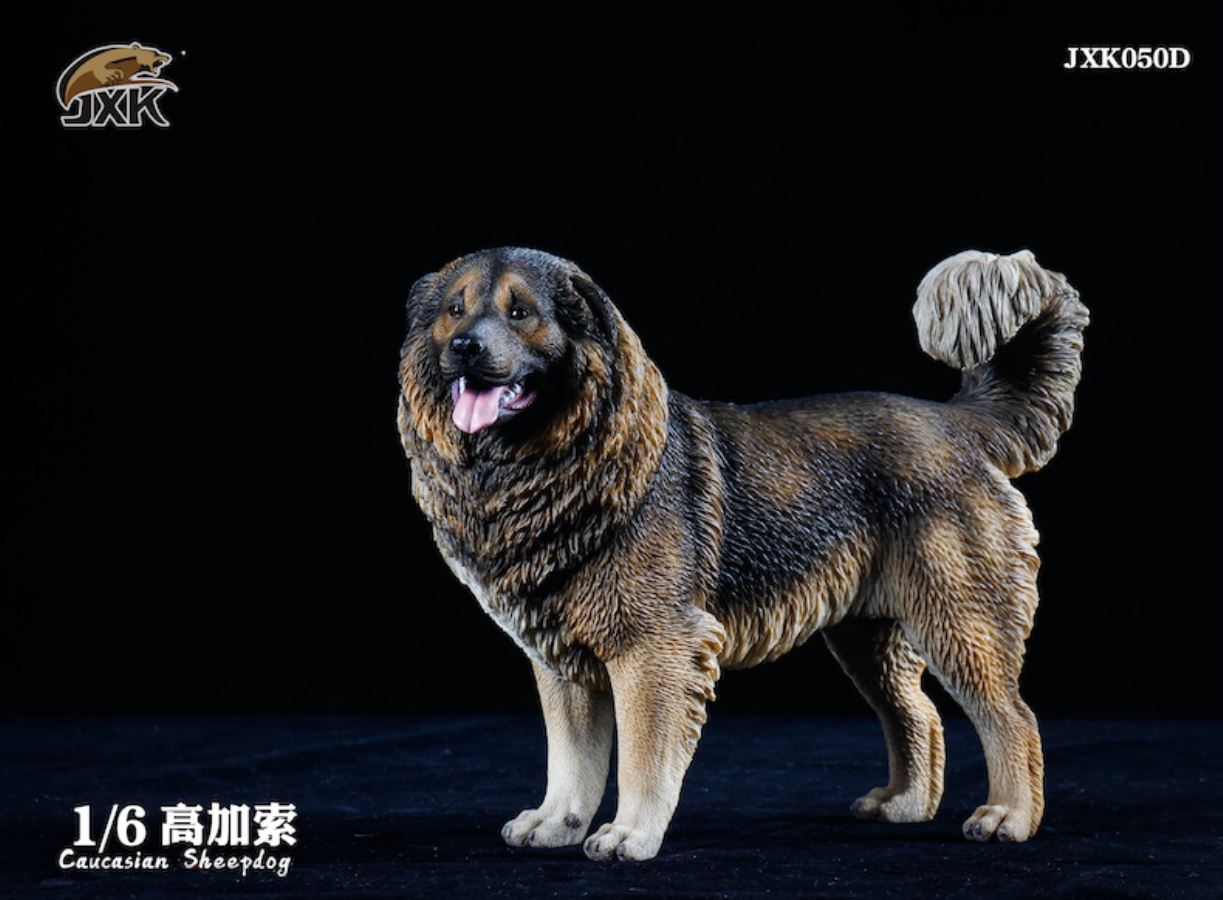 Caucasian Shepherd Dog 1/6