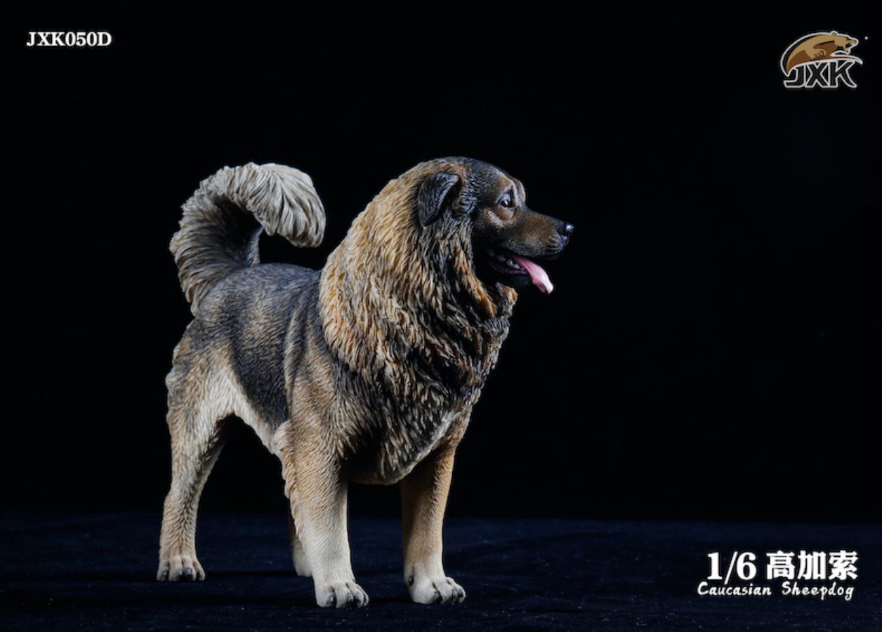 Caucasian Shepherd Dog 1/6