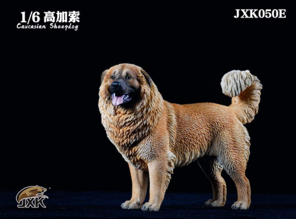 Caucasian Shepherd Dog 1/6