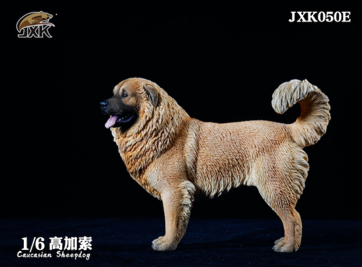 Caucasian Shepherd Dog 1/6