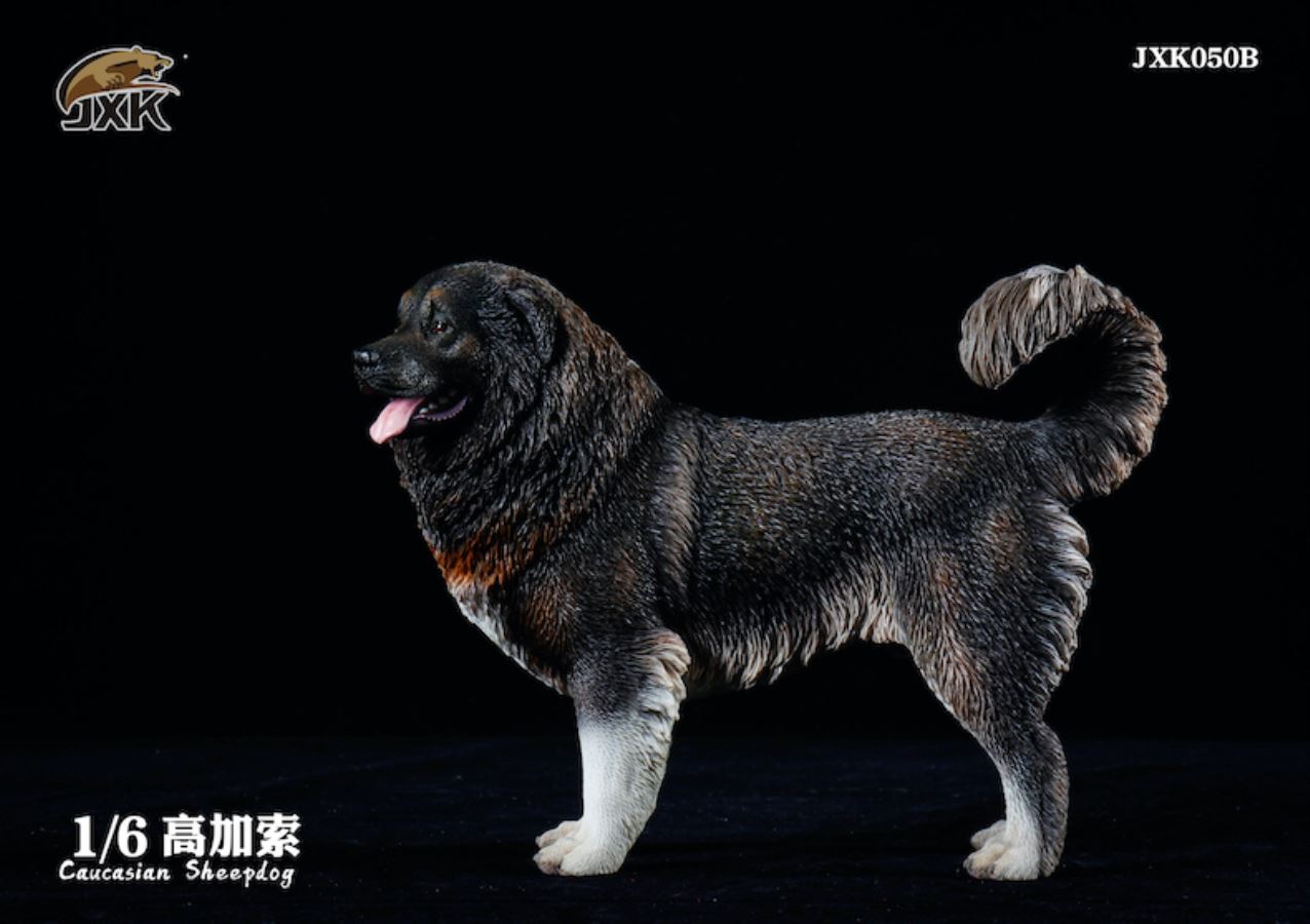Caucasian Shepherd Dog 1/6