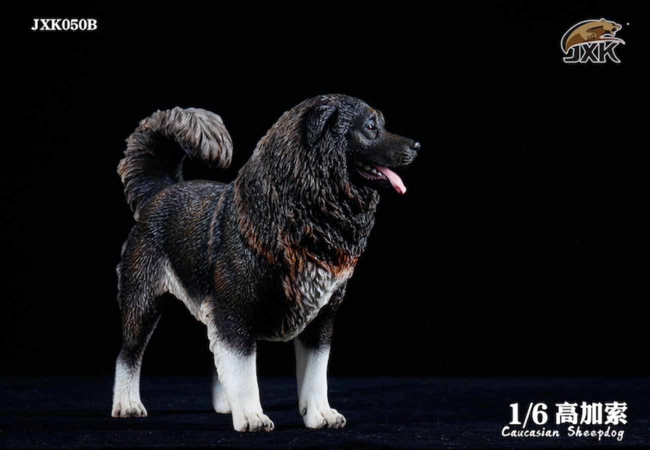 Caucasian Shepherd Dog 1/6