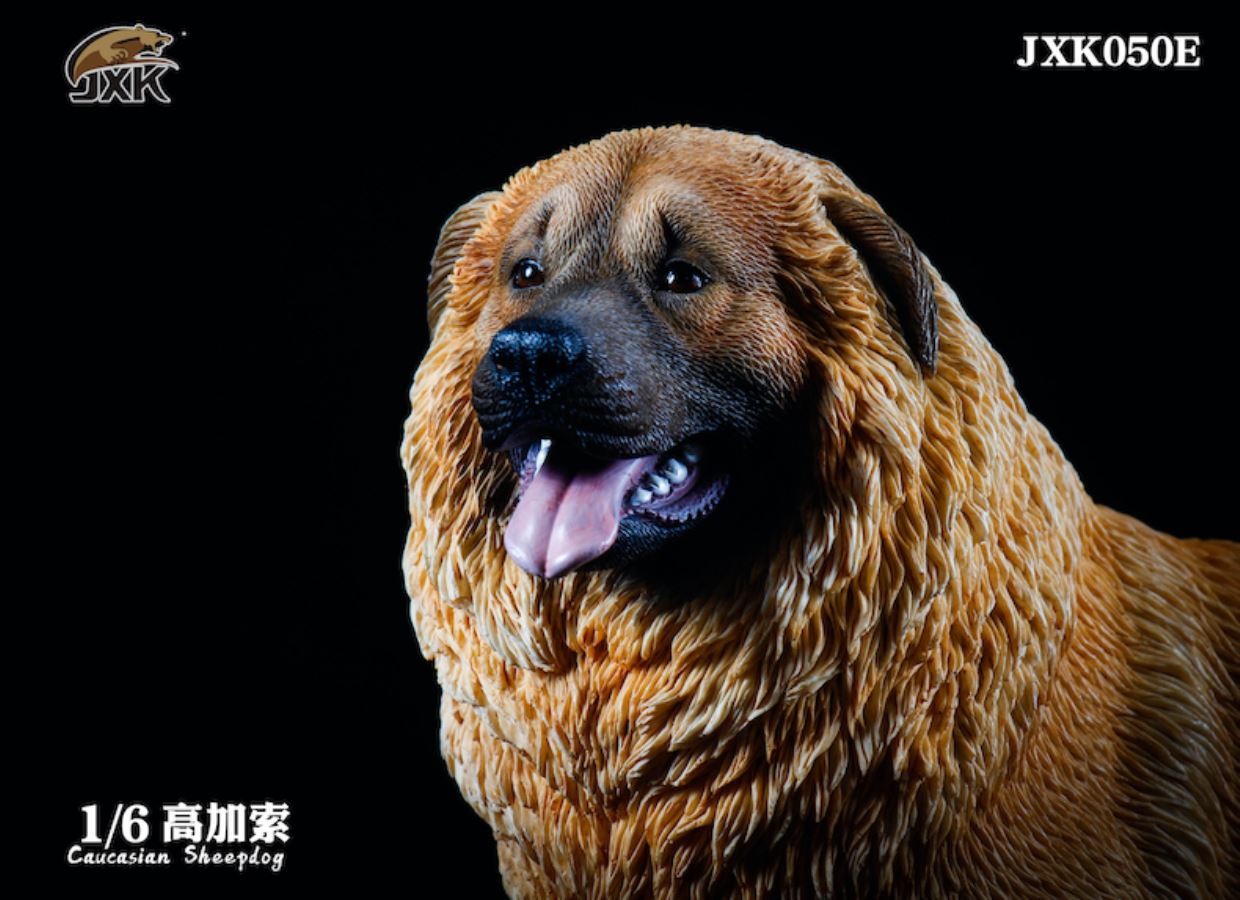 Caucasian Shepherd Dog 1/6