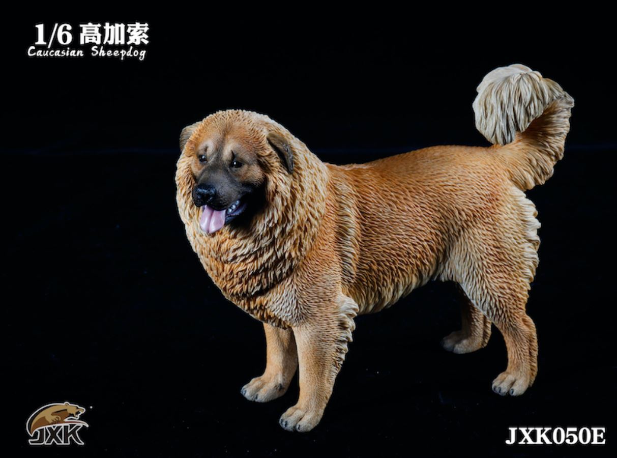 Caucasian Shepherd Dog 1/6