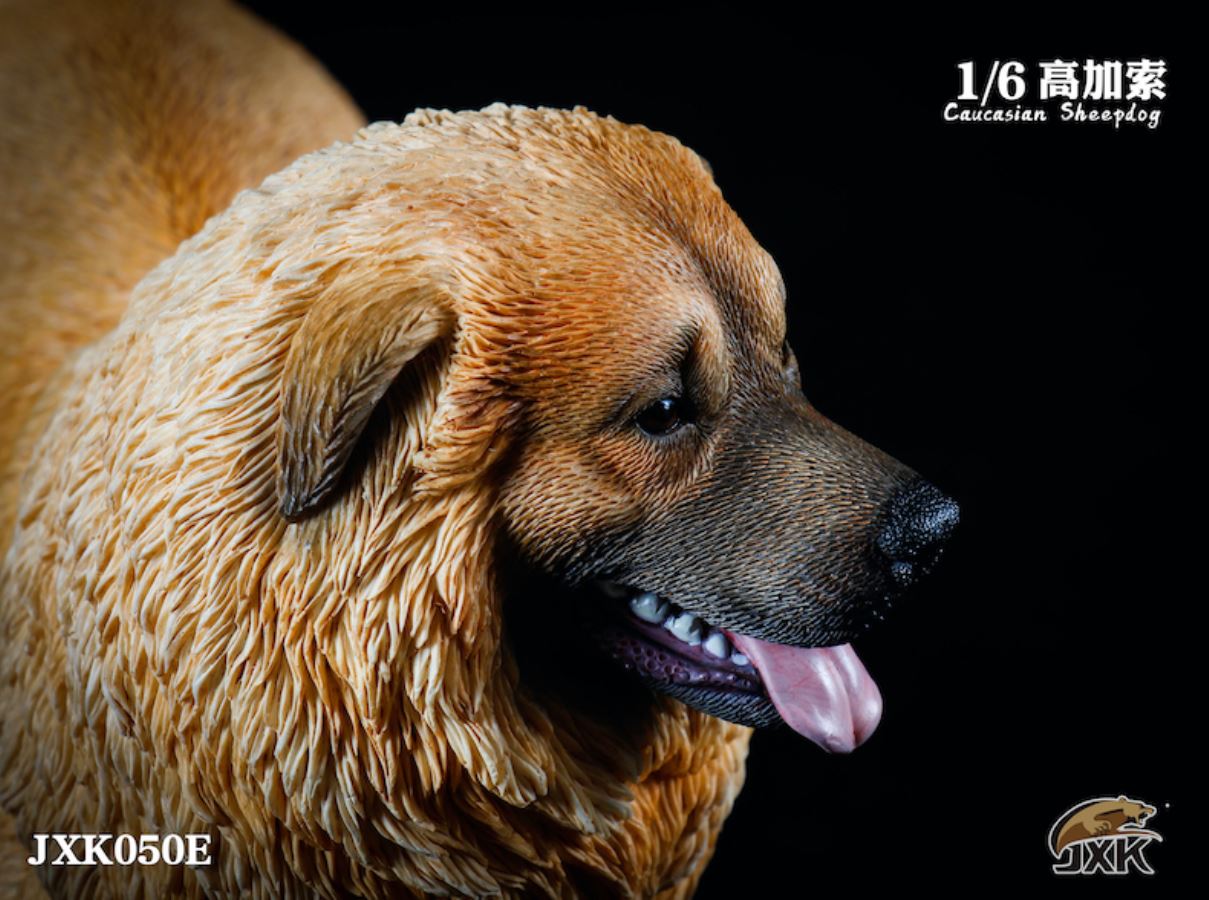 Caucasian Shepherd Dog 1/6