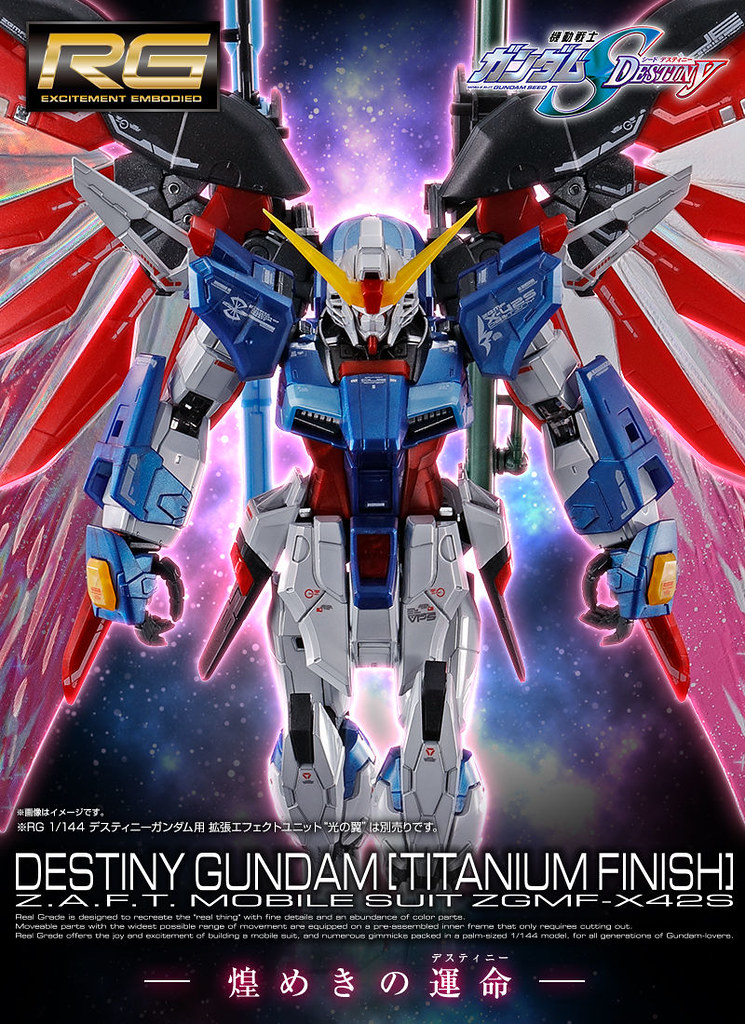 RG 1/144 DESTINY GUNDAM [Titanium Finish]