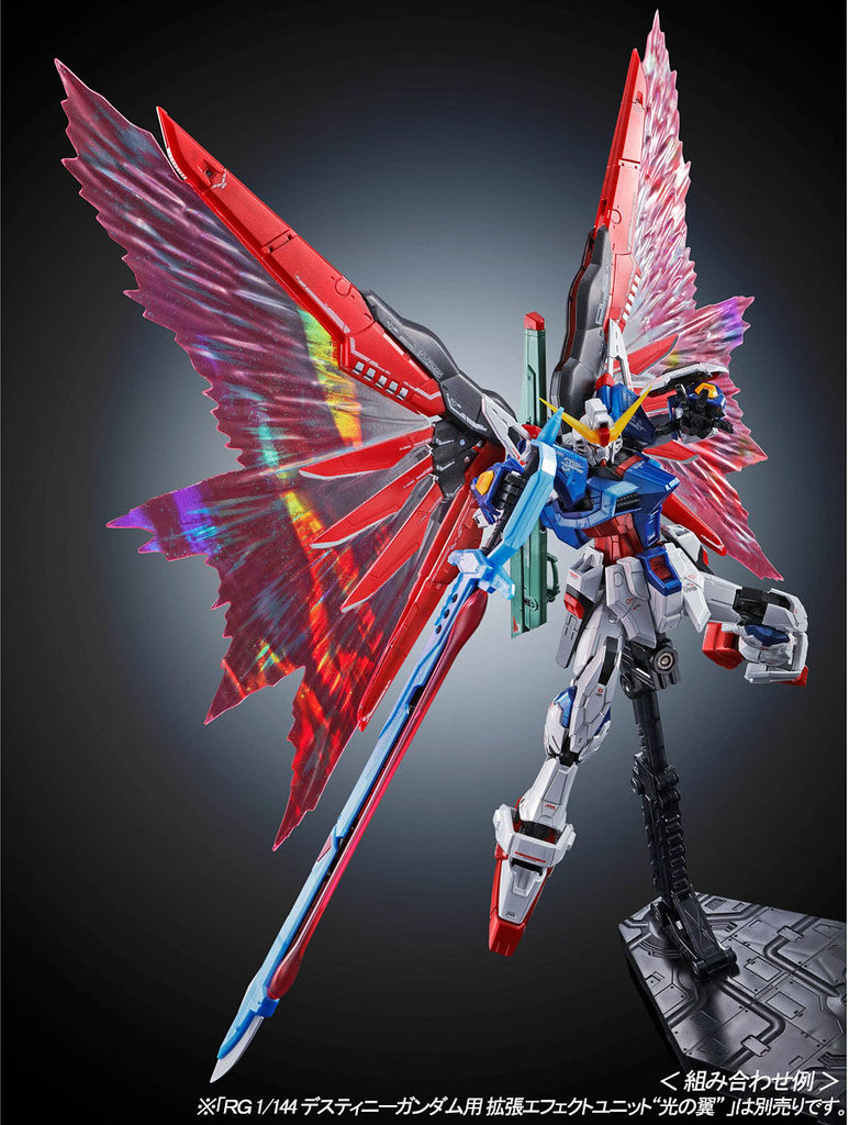 RG 1/144 DESTINY GUNDAM [Titanium Finish]
