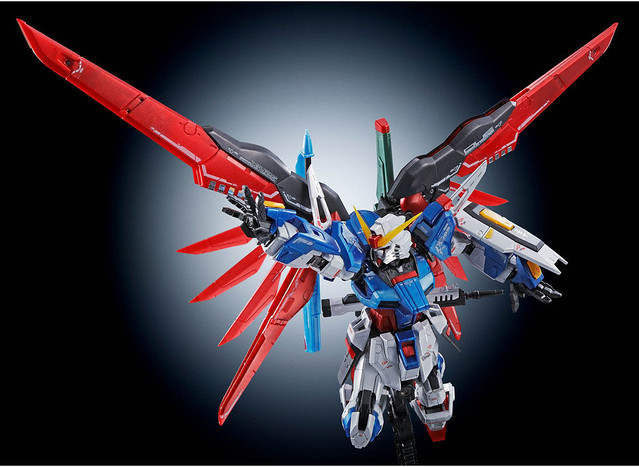 RG 1/144 DESTINY GUNDAM [Titanium Finish]