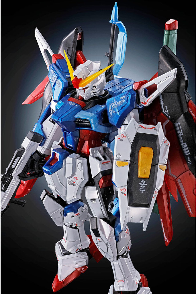RG 1/144 DESTINY GUNDAM [Titanium Finish]