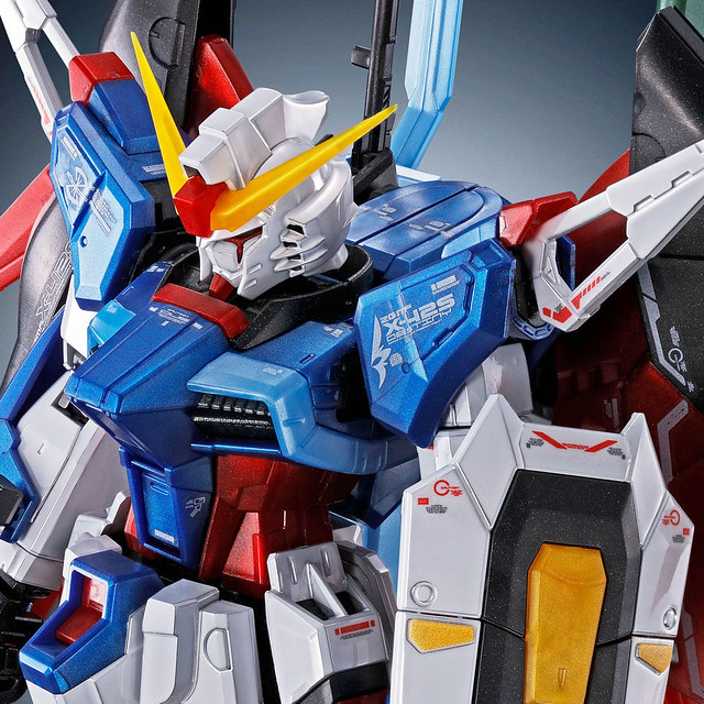 RG 1/144 DESTINY GUNDAM [Titanium Finish]
