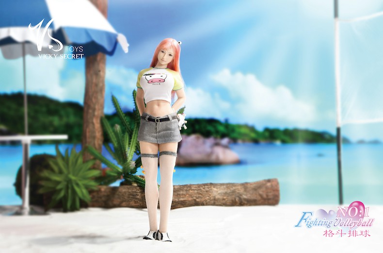 1/6 Fighting Volleyball Series Fruit Ear 19XG66 Full Box Set Double Head Carved Three Shapes