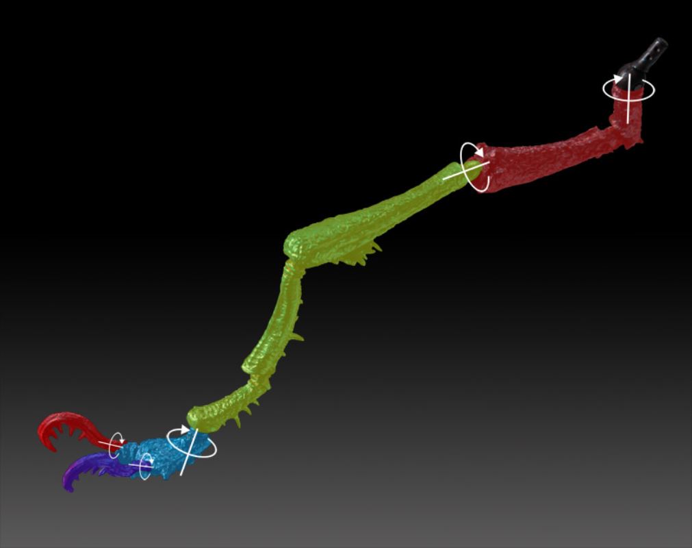 Nausicaä of the Valley of the Wind - Daio Yamma Takeya Style