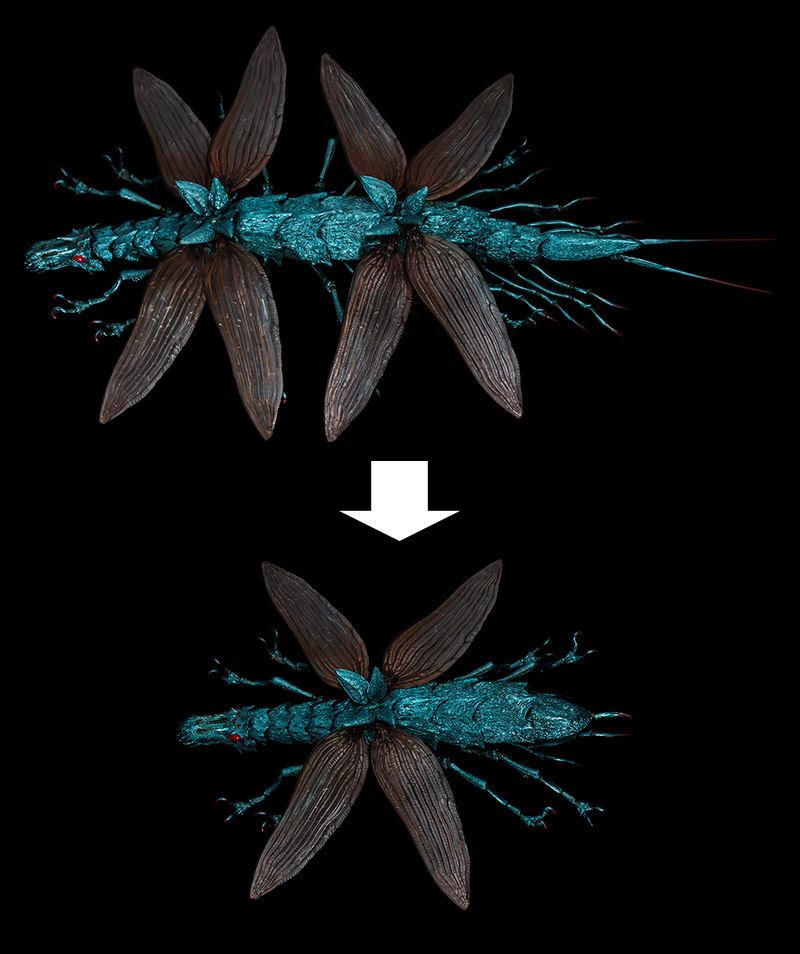 Nausicaä of the Valley of the Wind - Daio Yamma Takeya Style