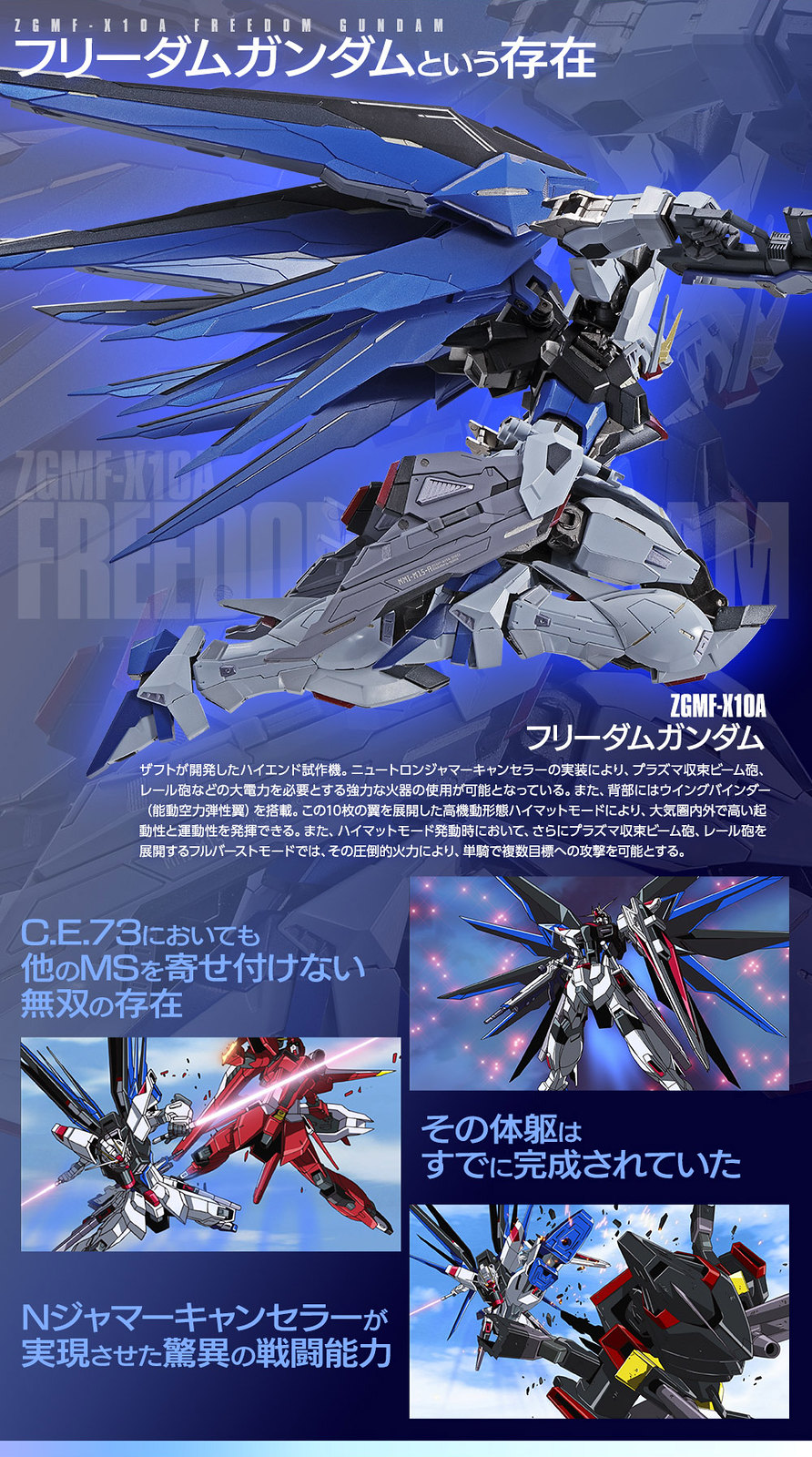 METAL BUILD Strike Freedom Gundam Concept2