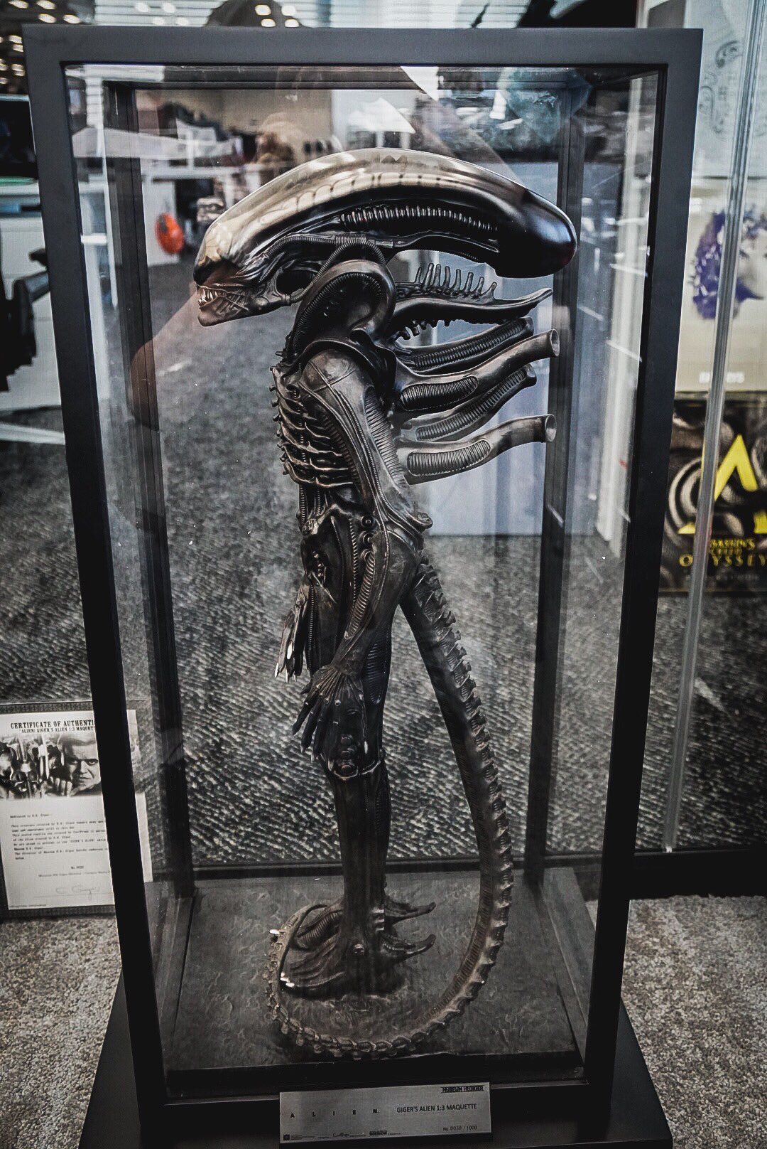 Alien Worrior