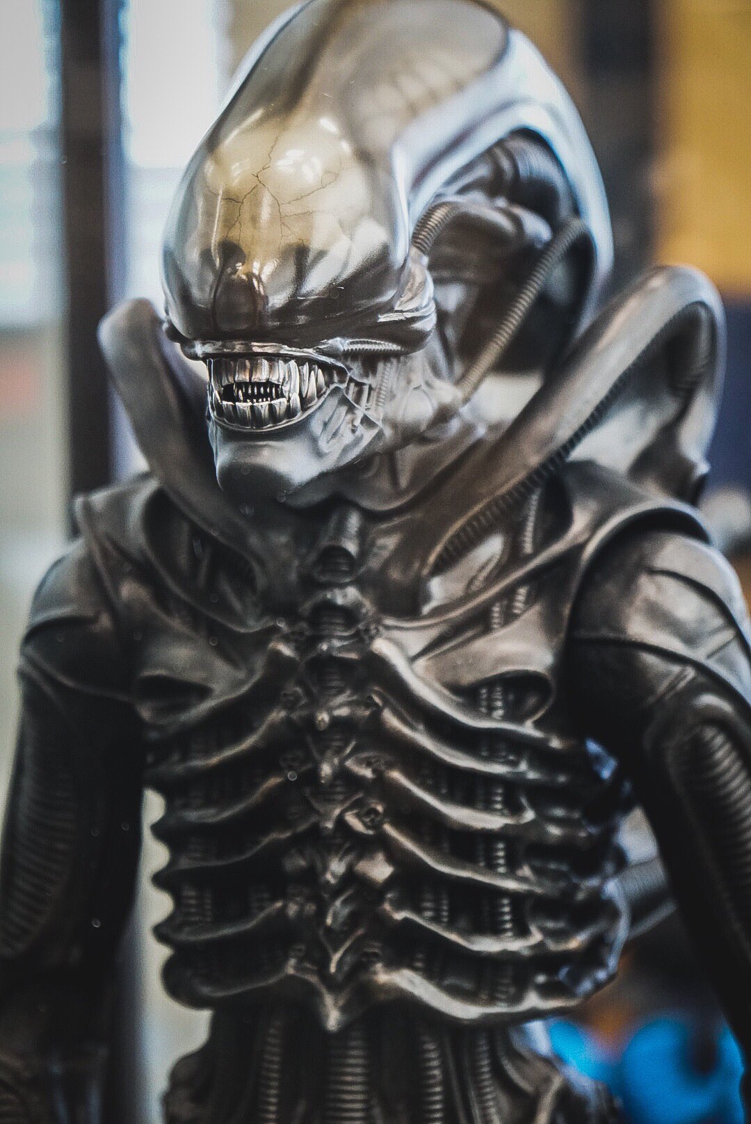 Alien Worrior