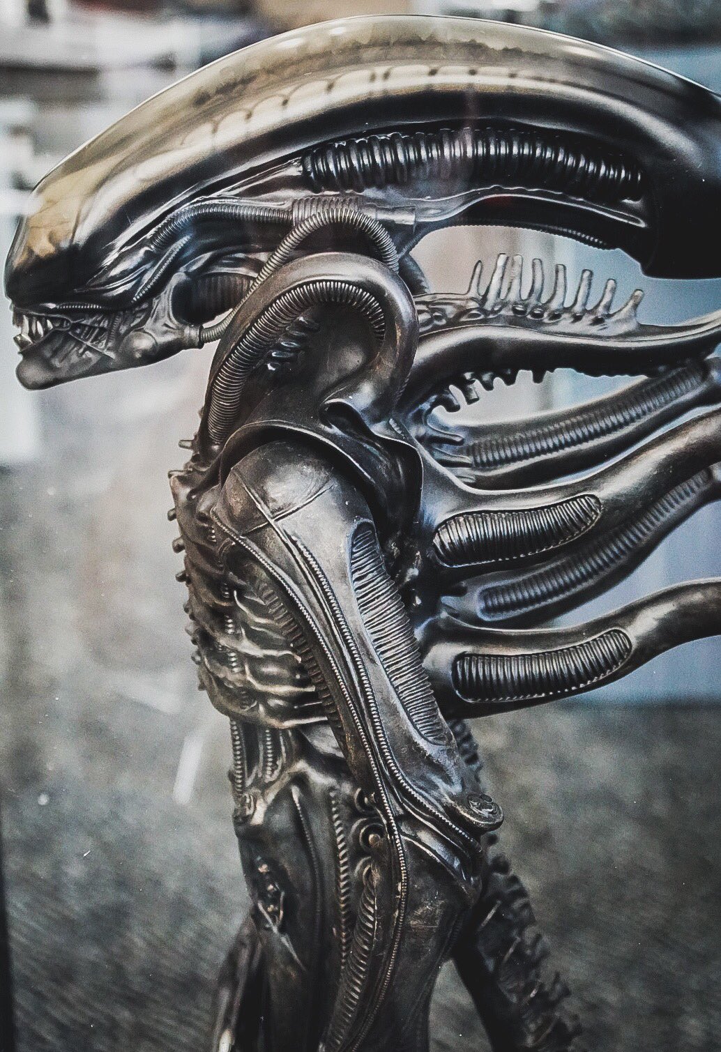 Alien Worrior