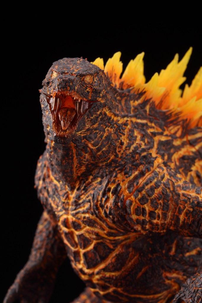 Super-excited : Burning Godzilla (2019)
