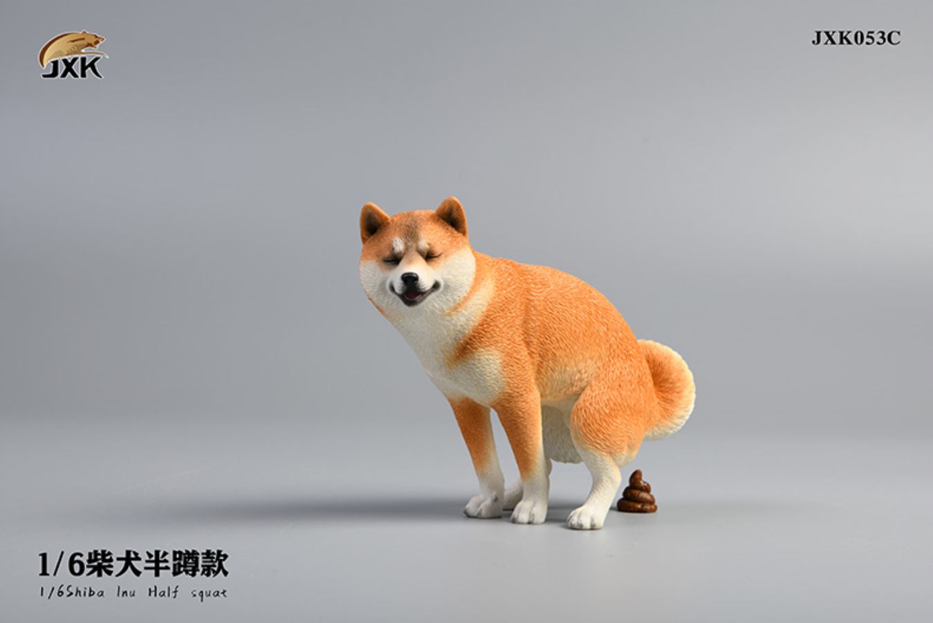 Shiba Inu squat/leg raise posture 1/6