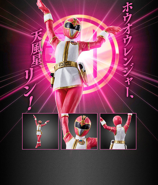 HG five-star team Diranger