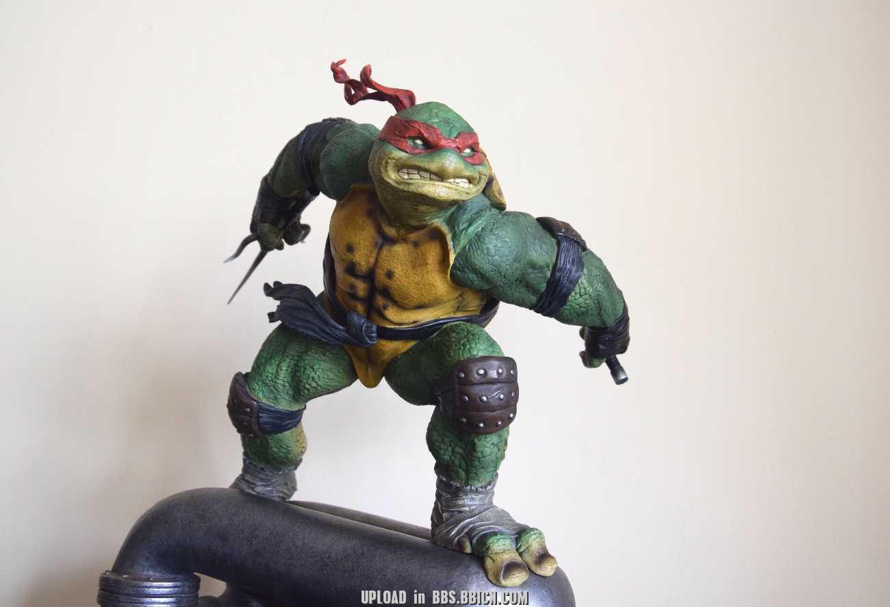 Teenage Mutant Ninja Turtles